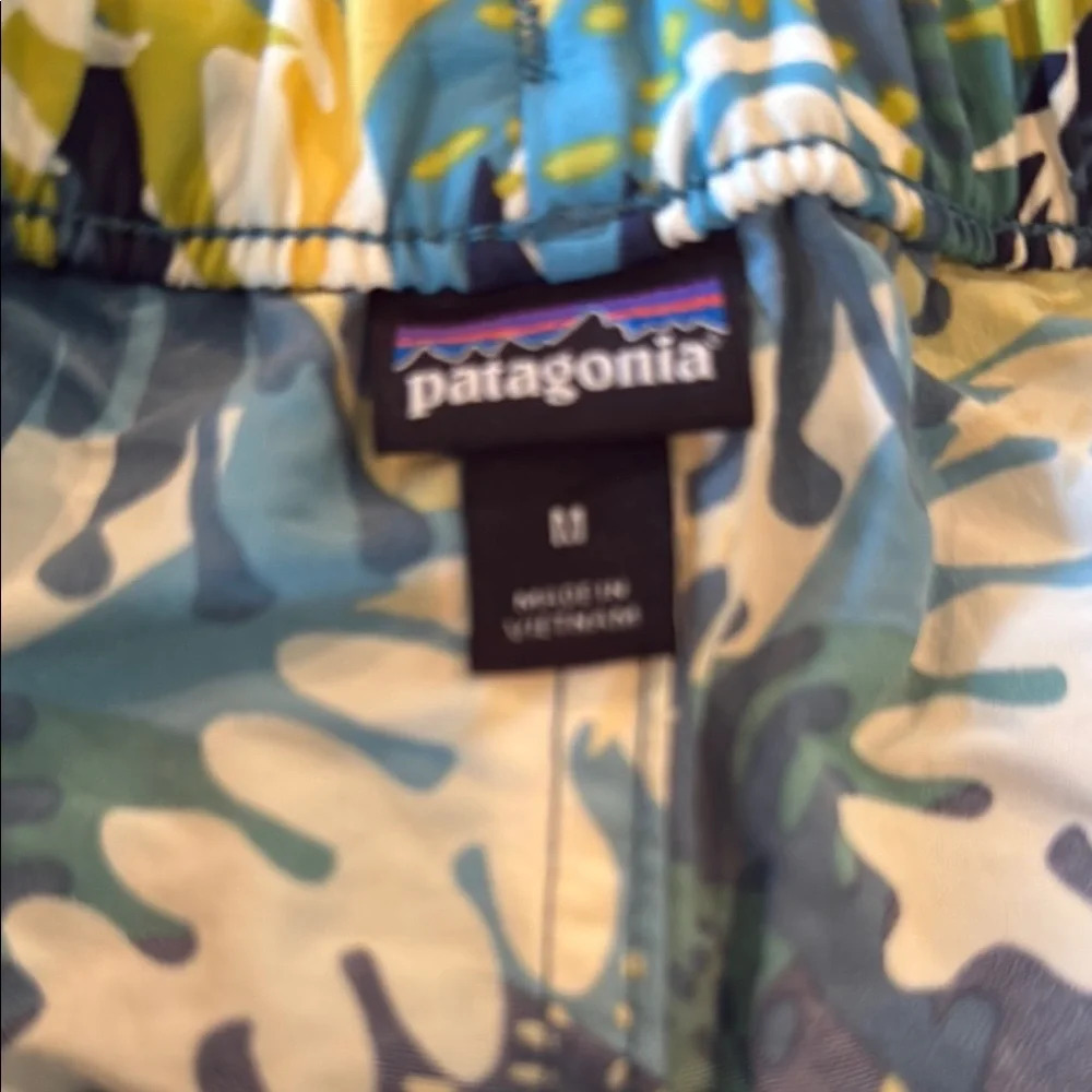 Patagonia Blue and Green Athletic Shorts for Active Comfort - Picture 2 of 2